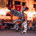 Sortida de Completes