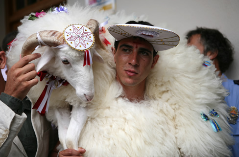 Duu l'animal a collibé