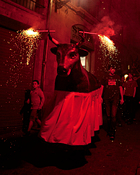 El bou durant la Baixada