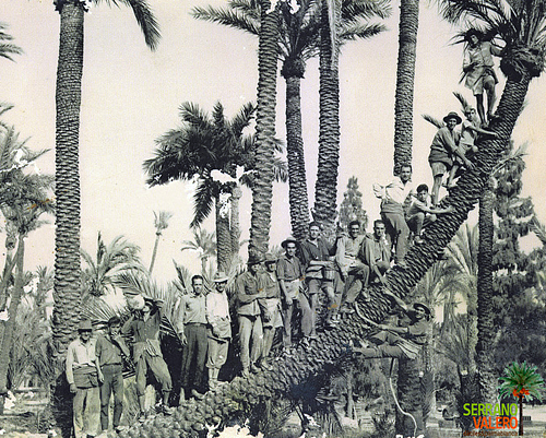 Fotografia antiga d'un grup de palmers (Serrano Valero)