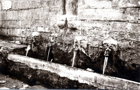 Les carotes en una foto antiga