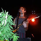 Els concerts de nit