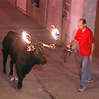 El bou embolat