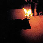Bou embolat