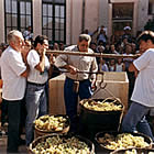 La pesada amb la romana a Sant Fost de Campsentelles (el Vallès Oriental)