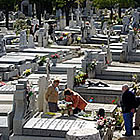 Les visites al cementiri