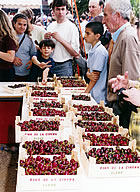 Parada de cireres