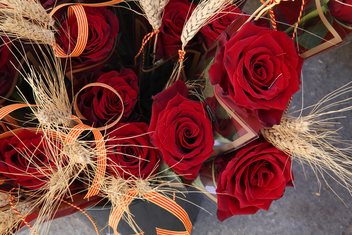 Roses i espigues