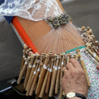 Els boixets i el coixí