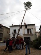 Alçant el maig