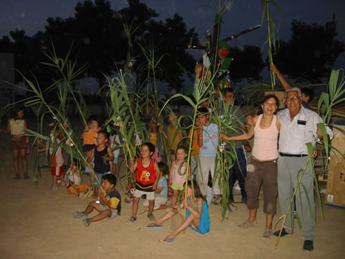 Canyes verdes. Foto: Joan Florit