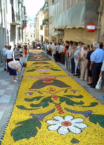 Catifa amb ginesta