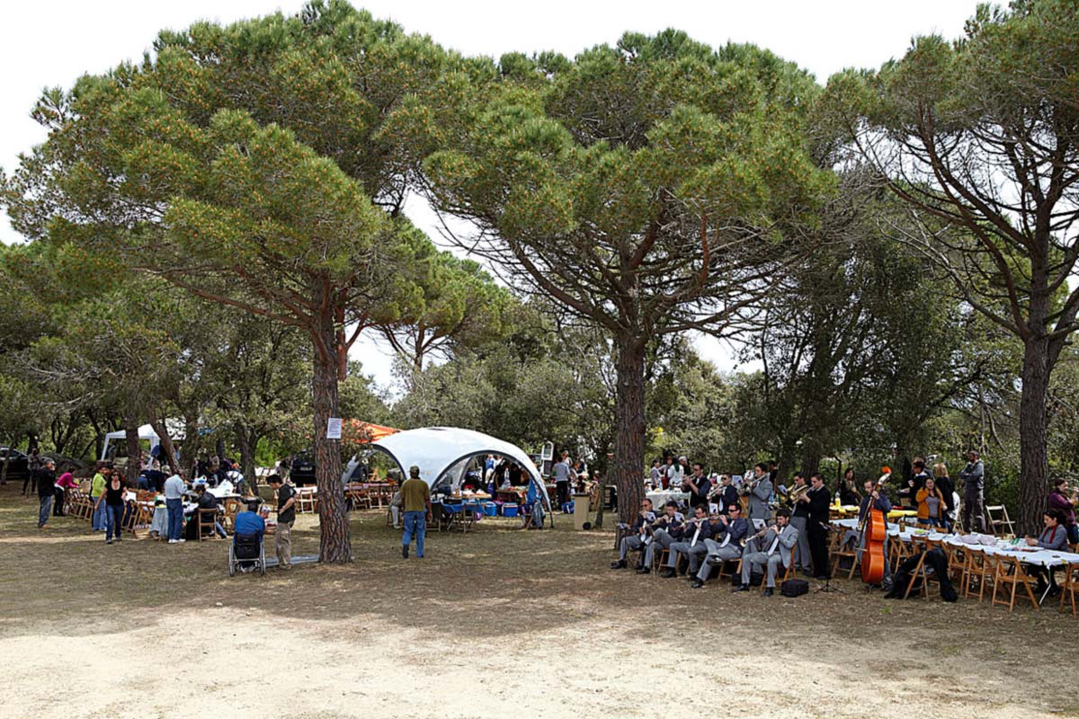 La cobla, preparant-se per tocar