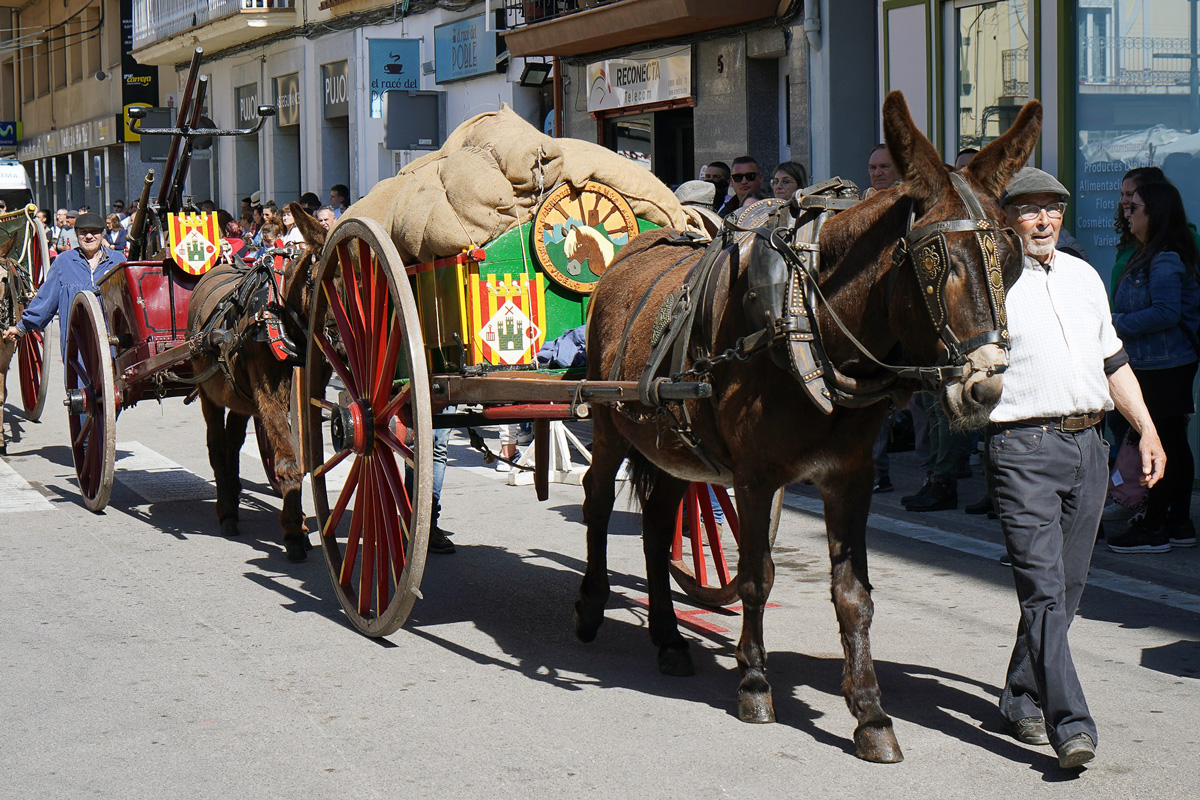 Un dels carros de l'Associació Cultural de Carreters i Cansaladers de Sant Vicenç de Castellet