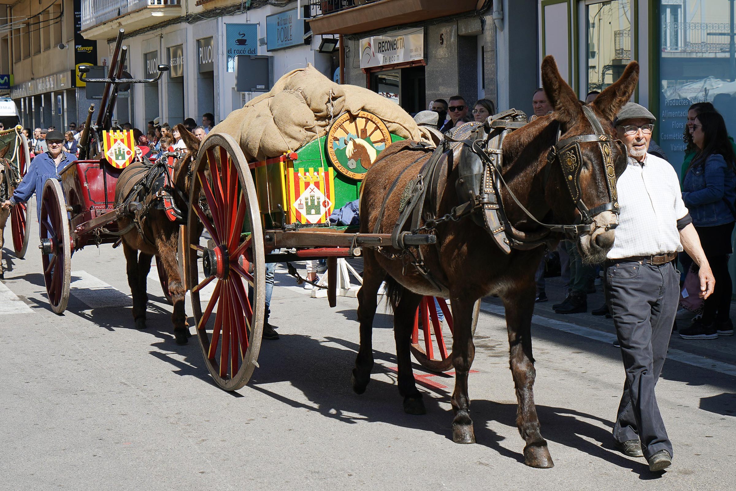 Festa dels Carreters de Sant Vicenç de Castellet