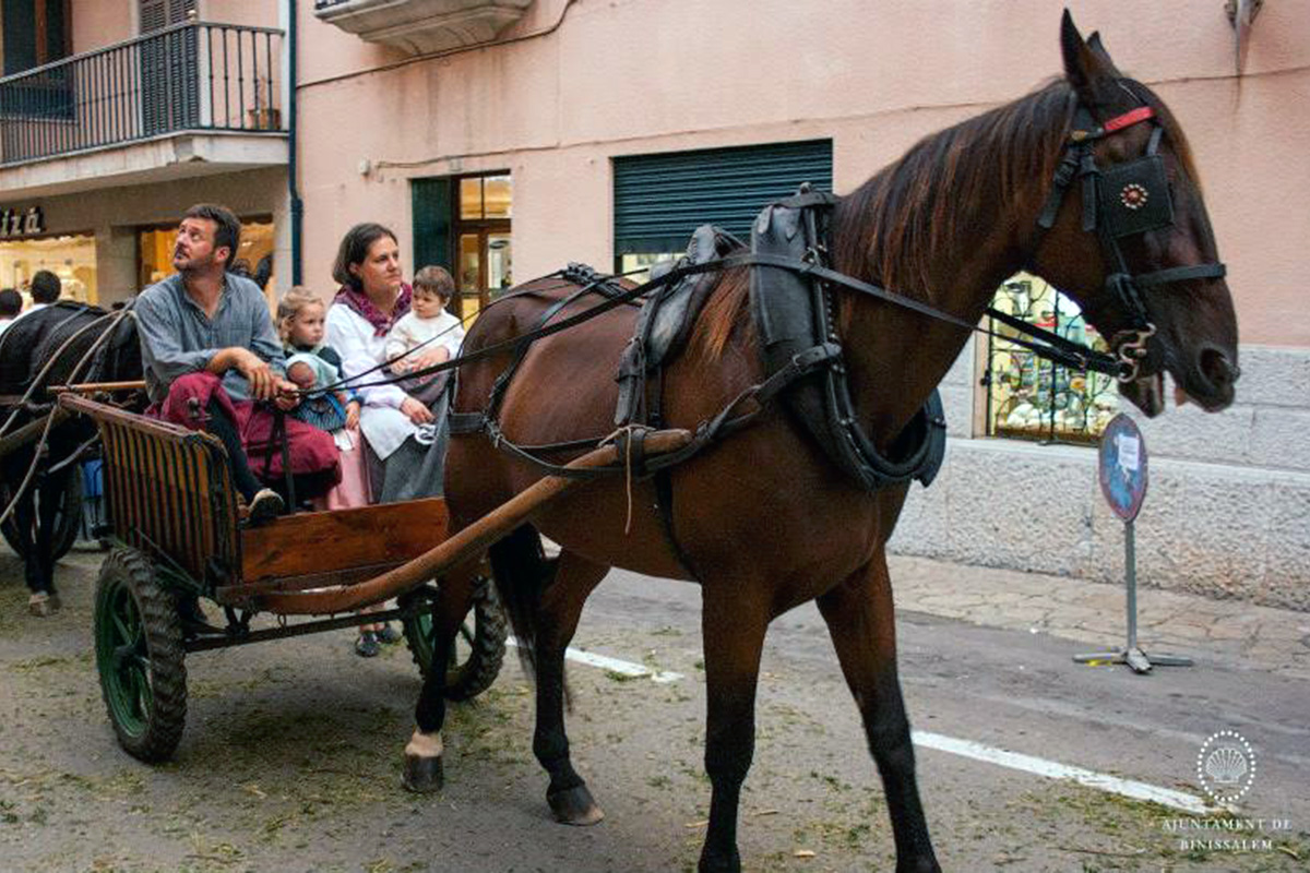 L'arribada del raïm