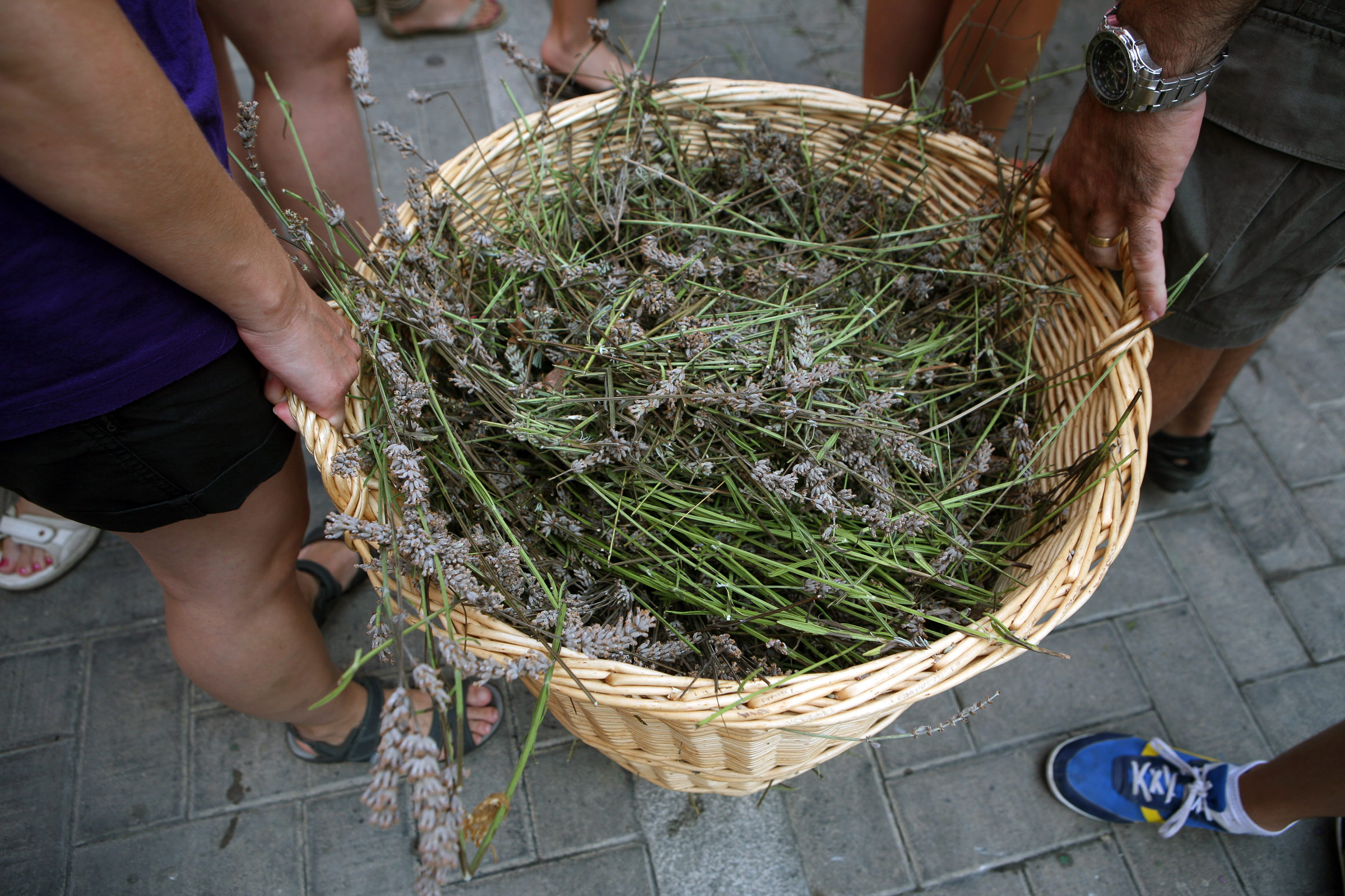 Festa Major de Falset