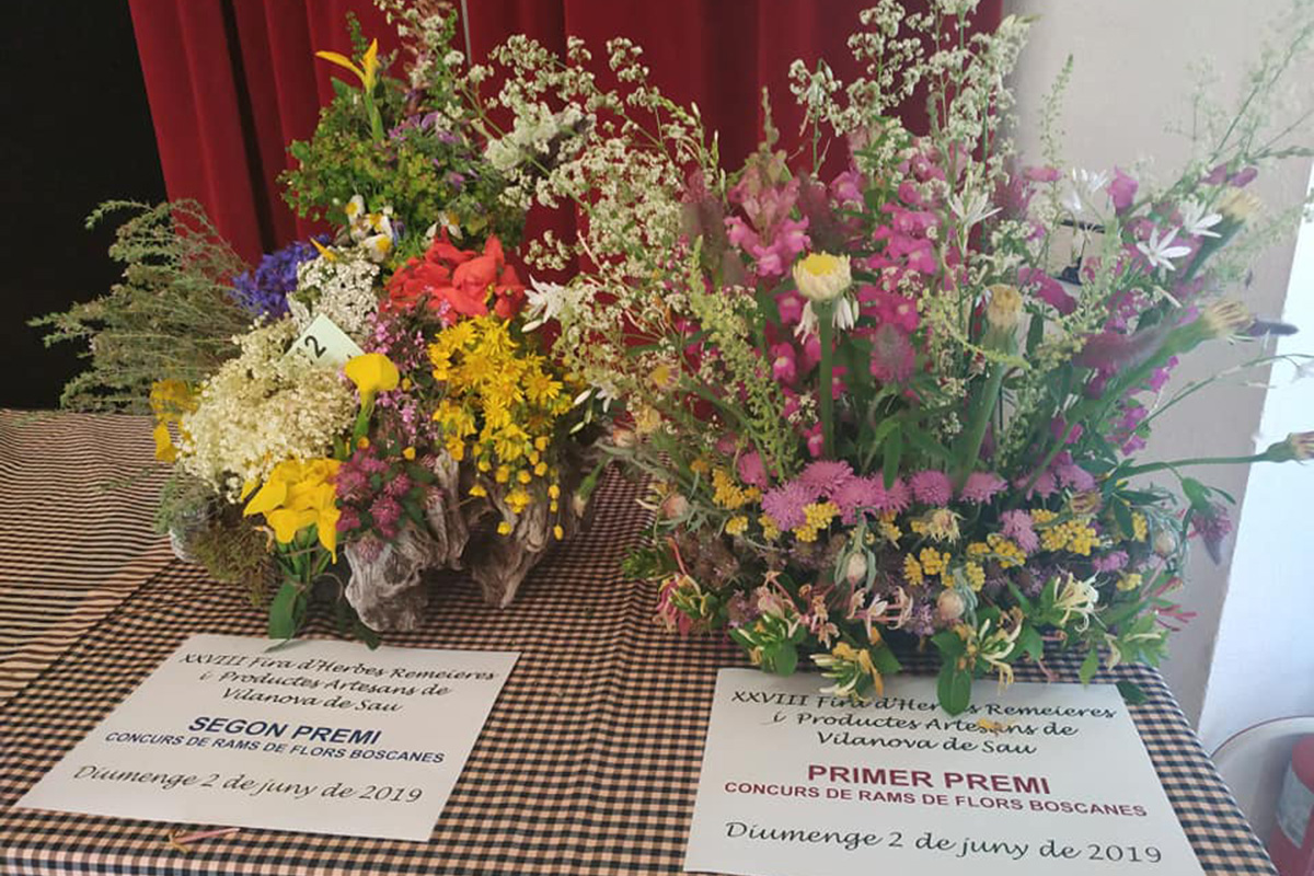 Concurs de Rams de Flors Boscanes