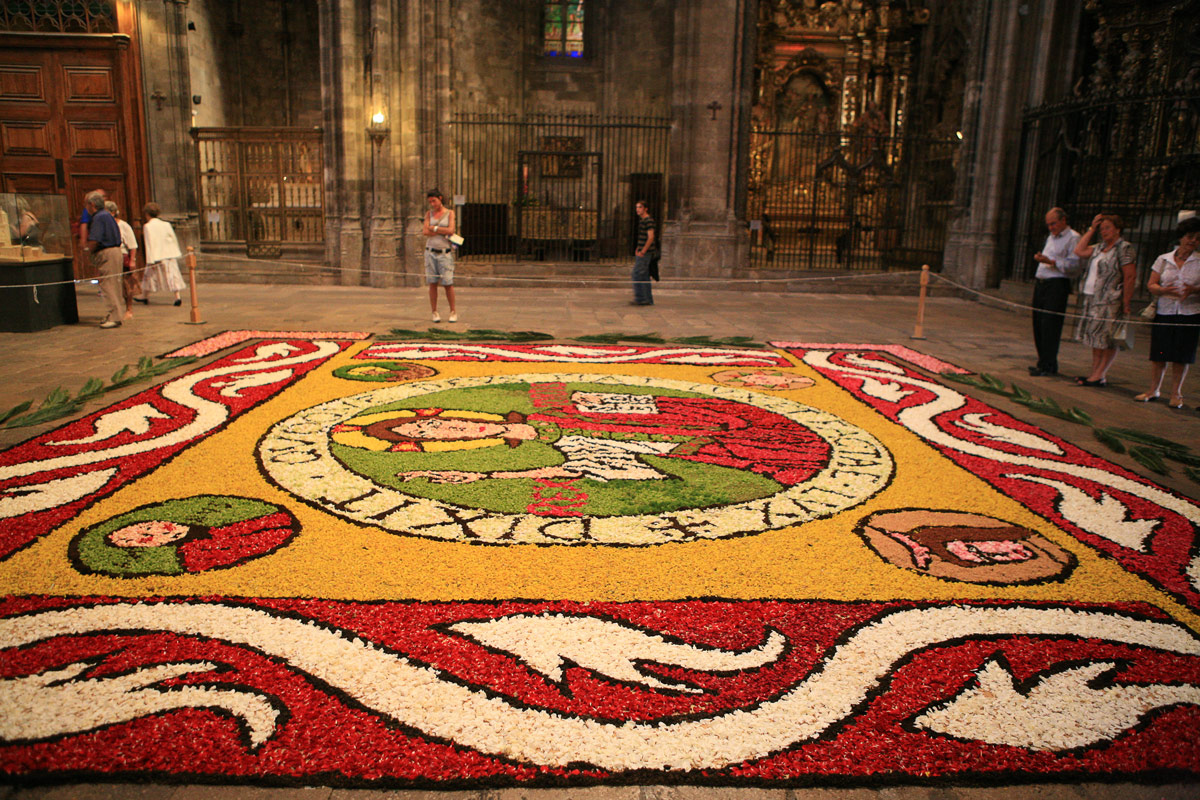 Catifa de dins la Catedral