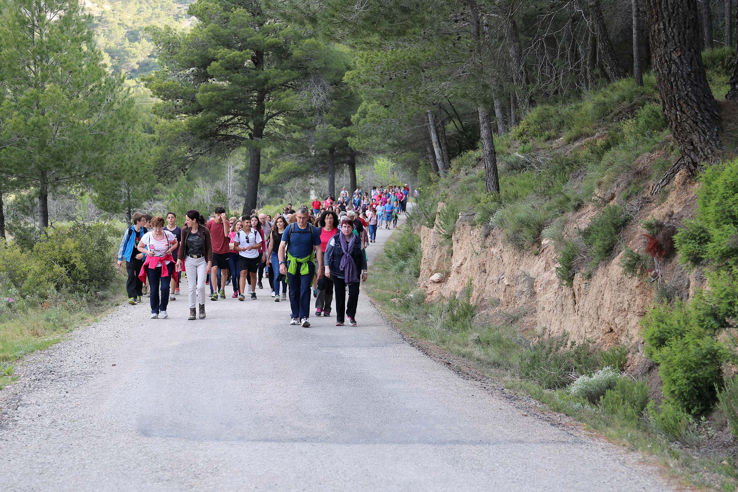 Romeria a la Fontcalda