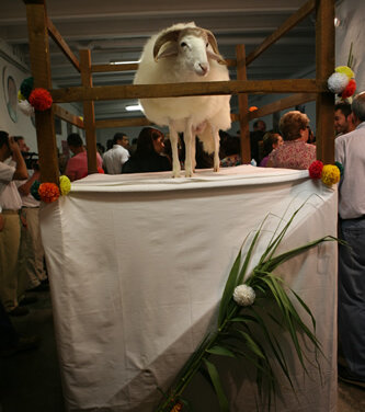 Galeria principal