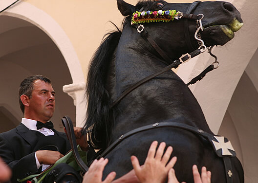 Galeria principal