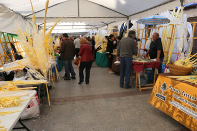 Parades de palmes i palmons davant l'Ajuntament