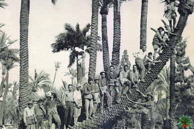 Fotografia antiga d'un grup de palmers (Serrano Valero)