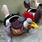 Una de les gallines