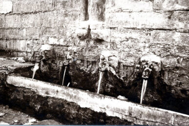 Les carotes en una foto antiga