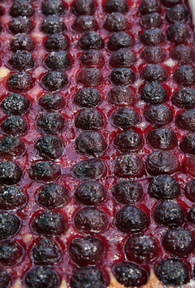 Coca amb cireres (Miravet)