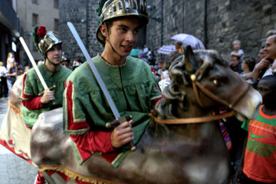 Els cavallets