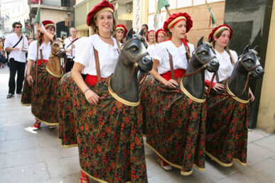 Els cavallets cotoners