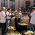 La pesada amb la romana a Sant Fost de Campsentelles (el Vallès Oriental)