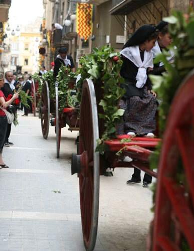 Carros dels portants