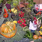 Mostra de productes