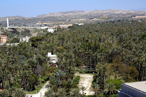 El Palmerar d'Elx