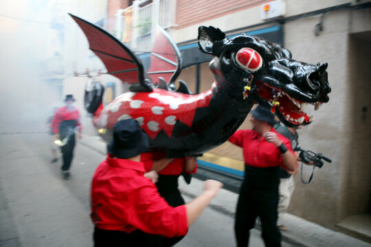 Drac de Sant Quintí de Mediona