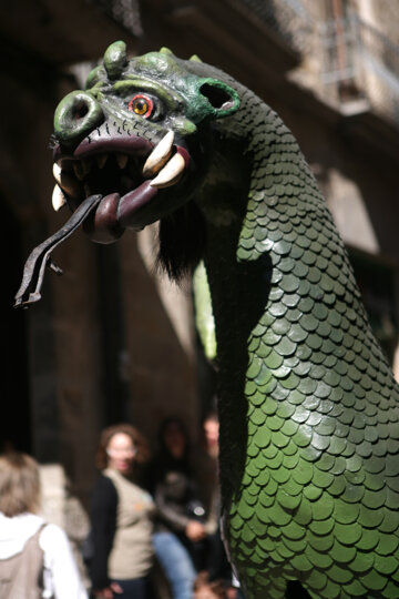 Drac de Solsona
