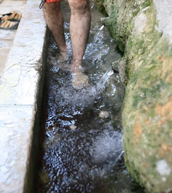 Galeria principal