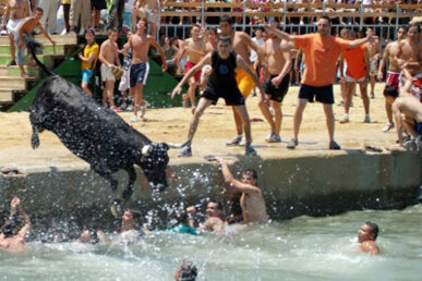El moment en què el bou cau a l'aigua, la multitud esclata d'alegria