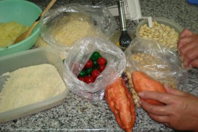 Els ingredients
