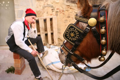 Brida guarnida i picarols