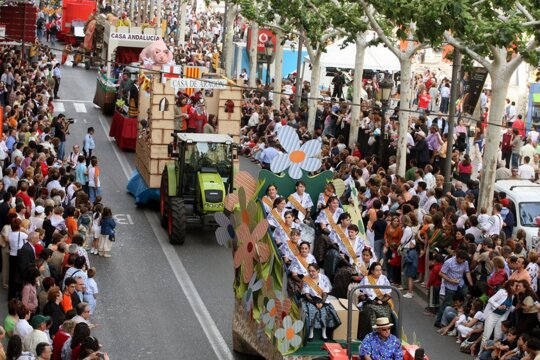 Algunes de les carrosses participants