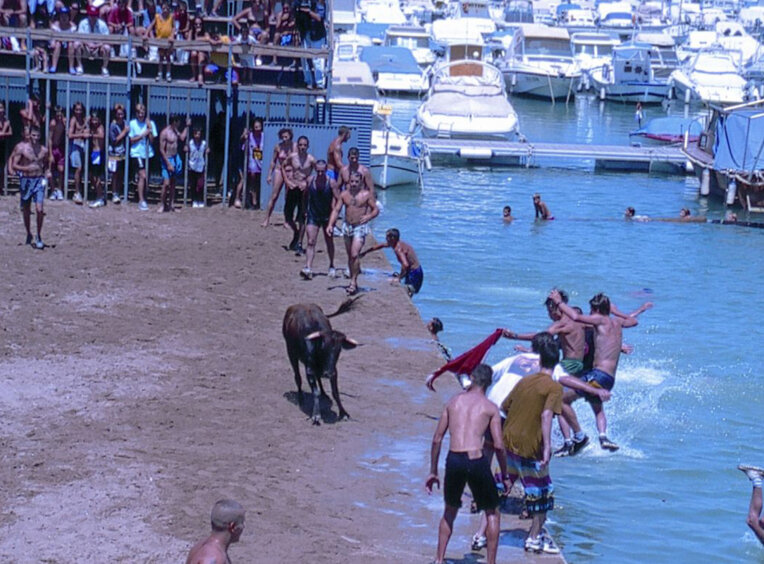 Bous a la mar a Dènia