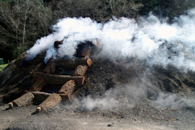 La carbonera fumejant