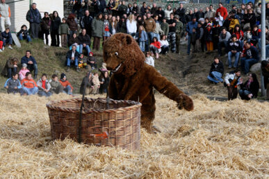 L'óssa enmig de l'espectacle. Foto: Fons Comú d'Encamp