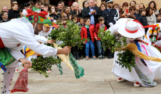 Els Cossiers
