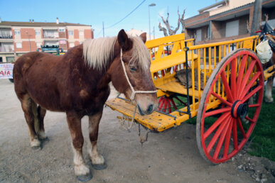 Cavall i carro, imprescindibles pel traginer