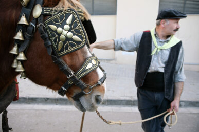 Traginer amb el seu matxo